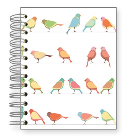 Buch 12x15 Birdy-Vogelparade