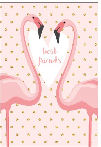 Umschlagk. pc best friends Flamingos