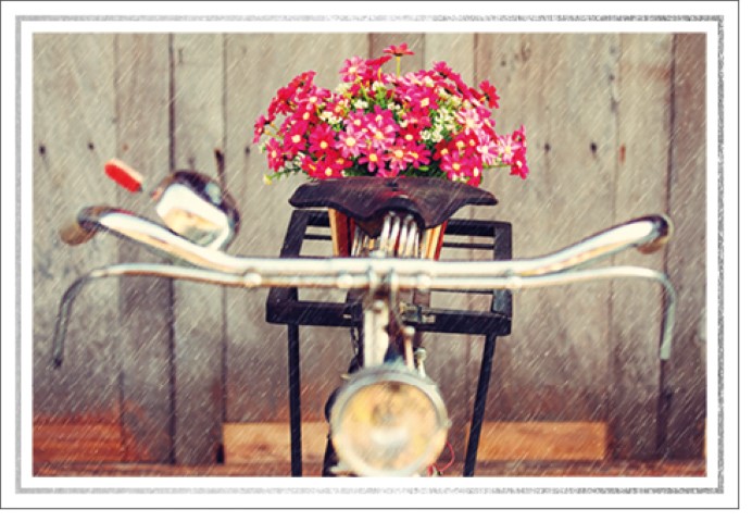 Umschlagk. LM Fahrrad mit Blumen Little Moments