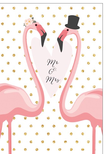 Umschlagk. pc Mr. & Mrs. Flamingos